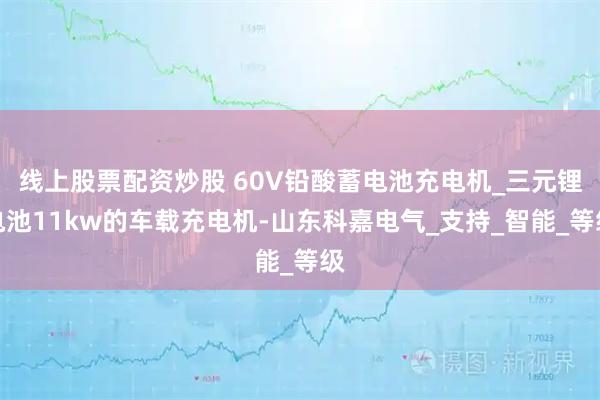线上股票配资炒股 60V铅酸蓄电池充电机_三元锂电池11kw的车载充电机-山东科嘉电气_支持_智能_等级